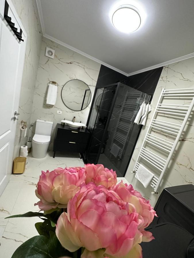 Apartament Bisera Тимишоара Экстерьер фото