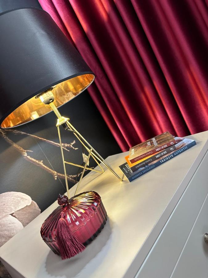 Apartament Bisera Тимишоара Экстерьер фото